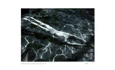 Underwater Swimmer by André Kertész Pricing Limited Edition Print image