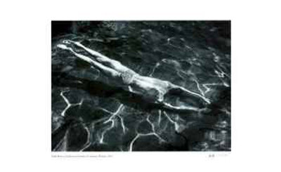 Underwater Swimmer by Andre Kertesz Pricing Limited Edition Print image
