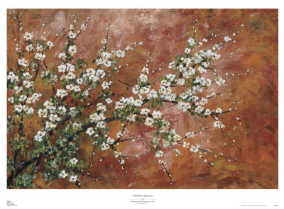 Wild Plum Blossoms by Zachary Alexander Pricing Limited Edition Print image