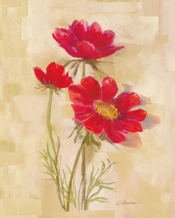 Spicy Red Cosmos by Carol Rowan Pricing Limited Edition Print image