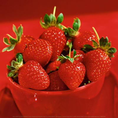 Strawberries by Alena Hrbkova Pricing Limited Edition Print image