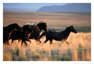 Follow The Leader by Jerry Sintz Pricing Limited Edition Print image