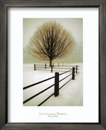 Solitude by David Winston Pricing Limited Edition Print image
