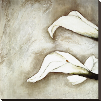 Brilliant Calla Iii by Heidi Gerstner Pricing Limited Edition Print image