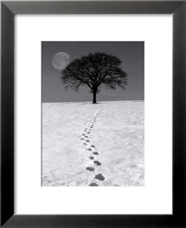 Winter Moon by Ilona Wellman Pricing Limited Edition Print image