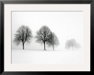 Winter Trees Ii by Ilona Wellman Pricing Limited Edition Print image