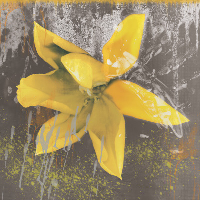 Tulip Fresco (Yellow) by Erin Clark Pricing Limited Edition Print image
