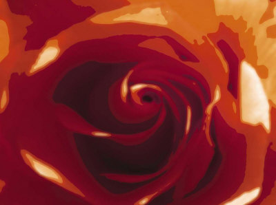 Rose Variation Ii by Tasmin Phoenix Pricing Limited Edition Print image