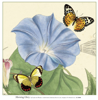 Morning Glory by Louis Van Houtte Pricing Limited Edition Print image
