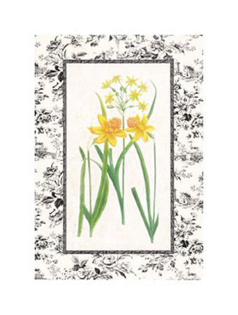 Jonquil And Narcissus I by Sarah Elizabeth Chilton Pricing Limited Edition Print image