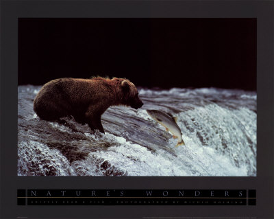 Grizzly Bear And Fish by Michio Hoshino Pricing Limited Edition Print image