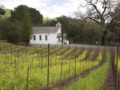 Alexander Winery, Alexander Valley by Jerry Alexander Pricing Limited Edition Print image