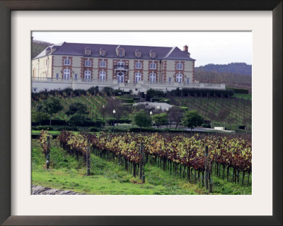 Chardonnay And Pinot Noir Grape Vineyards by Eric Risberg Pricing Limited Edition Print image