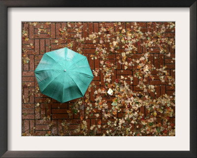 Wet Leaves Are Scattered Over Sidewalk Bricks As A Pedestrian Walks By With A Colorful Umbrella by Don Ryan Pricing Limited Edition Print image