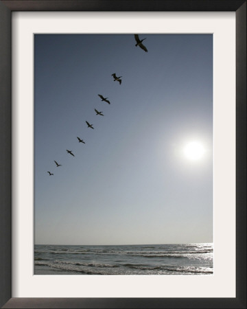 Pelicans Pass Over Boca Chica, Texas by Eric Gay Pricing Limited Edition Print image