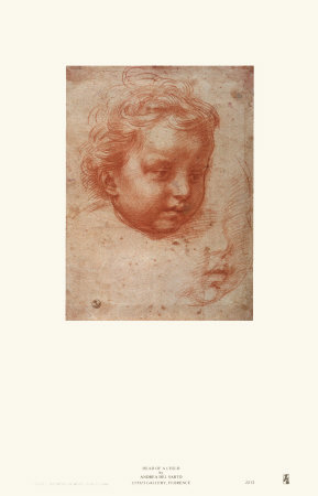 Head Of A Child by Andrea Del Sarto Pricing Limited Edition Print image