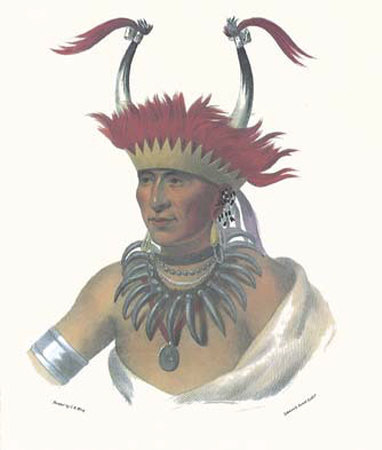 An Otto Half Chief by Charles Bird King Pricing Limited Edition Print image