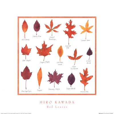 Red Leaves by Hiro Kawada Pricing Limited Edition Print image