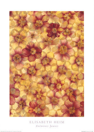 Anemones Jaunes by Elisabeth Heim Pricing Limited Edition Print image