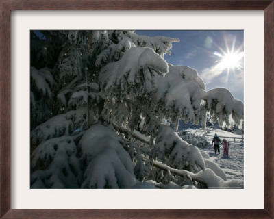 Hikers Walk On A Path Beside Snow Covered Trees by Christof Stache Pricing Limited Edition Print image