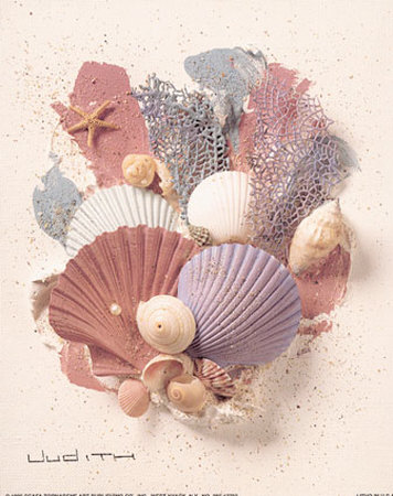 Shell Collage I by Judith Pricing Limited Edition Print image