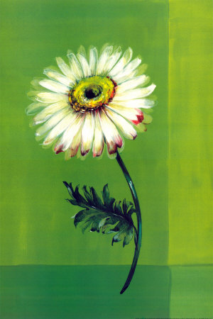 Flower On Green by Paul Hargittai Pricing Limited Edition Print image