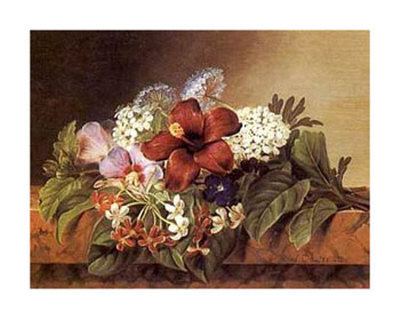 Hibiscus, Mallows, Tibouchina And Jasmine by Johan Laurentz Jensen Pricing Limited Edition Print image