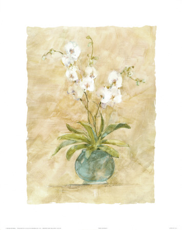 White Orchids I by Rosalind Oesterle Pricing Limited Edition Print image