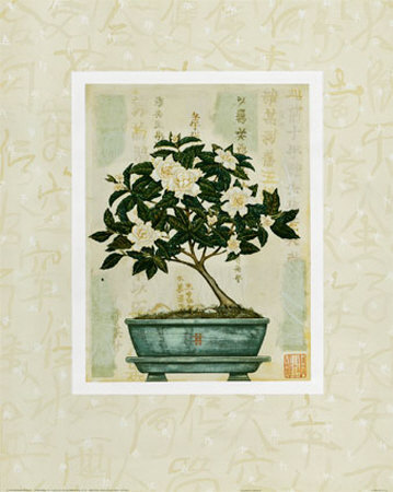 Gardenia Bonsai by Richard Henson Pricing Limited Edition Print image