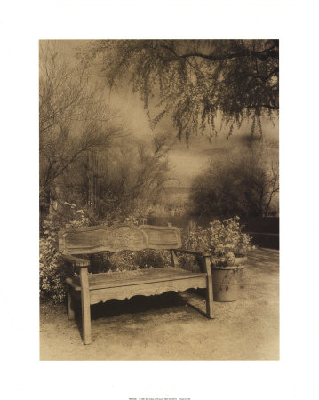 Wooden Bench In Garden Setting by Sarah Wagner-Raines Pricing Limited Edition Print image