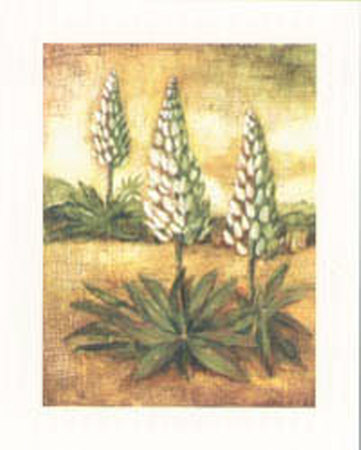 Lupine by Tina Chaden Pricing Limited Edition Print image