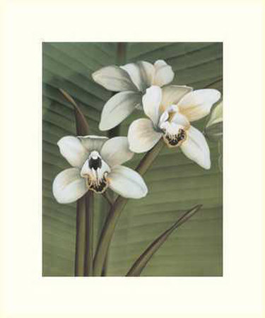 Orchid With Palm I by Andrea Trivelli Pricing Limited Edition Print image
