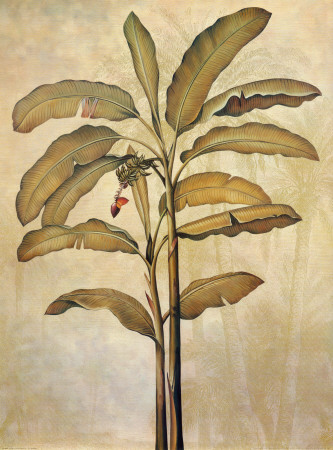 Palms Of The Tropics Ii by Jill Deveraux Pricing Limited Edition Print image