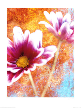 Double Daisy by Ian Winstanley Pricing Limited Edition Print image
