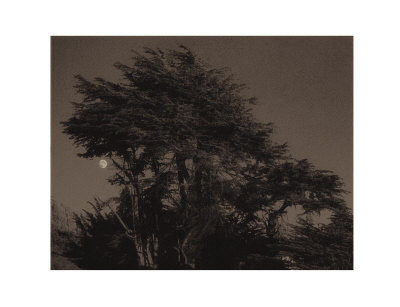 Harvest Moon by Paul Kozal Pricing Limited Edition Print image