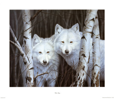 White Magic by Rusty Frentner Pricing Limited Edition Print image