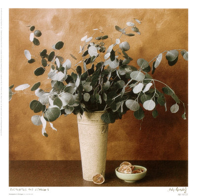 Eucalyptus And Oranges by Judy Mandolf Pricing Limited Edition Print image