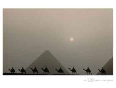 Life® - Silhouette Of Camels Against The Pyramids Of Giza, 1962 by Eliot Elisofon Pricing Limited Edition Print image