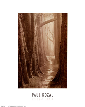 Cypress Trail by Paul Kozal Pricing Limited Edition Print image