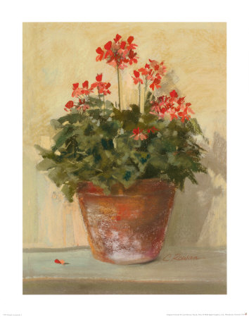 Potted Geraniums I by Carol Rowan Pricing Limited Edition Print image