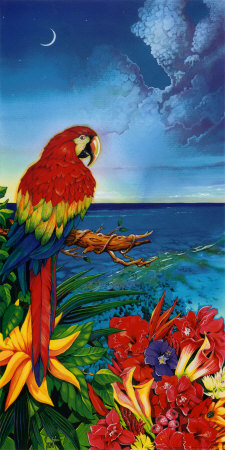 Parrot-Dice by Scott Westmoreland Pricing Limited Edition Print image
