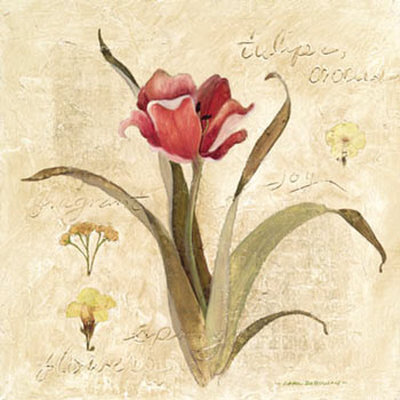 Red Tulip by Carol Robinson Pricing Limited Edition Print image