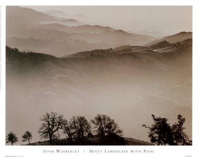 Misty Landscape With Pool by John Wimberley Pricing Limited Edition Print image