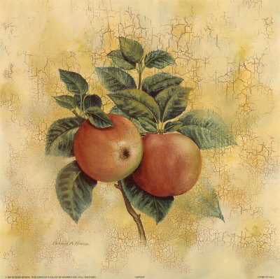 Apples by Richard Henson Pricing Limited Edition Print image