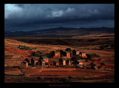 Madagascar by Pascal Maitre Pricing Limited Edition Print image