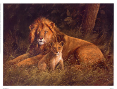 Lion And Cub by Kilian Pricing Limited Edition Print image