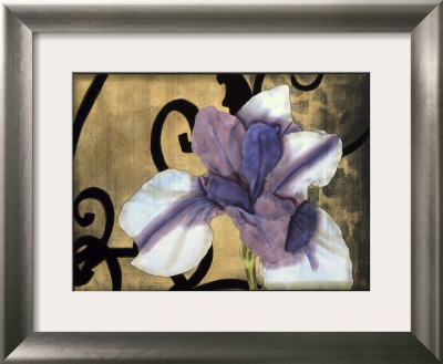 Iris And Scrolls Ii by Jennifer Goldberger Pricing Limited Edition Print image