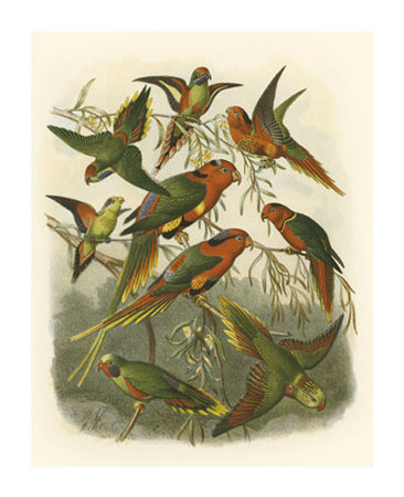 Red Birds I by Cassel Pricing Limited Edition Print image