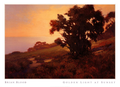 Golden Light At Sunset by Brian Blood Pricing Limited Edition Print image