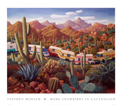 More Snowbirds In Cactusland by Stephen Morath Pricing Limited Edition Print image